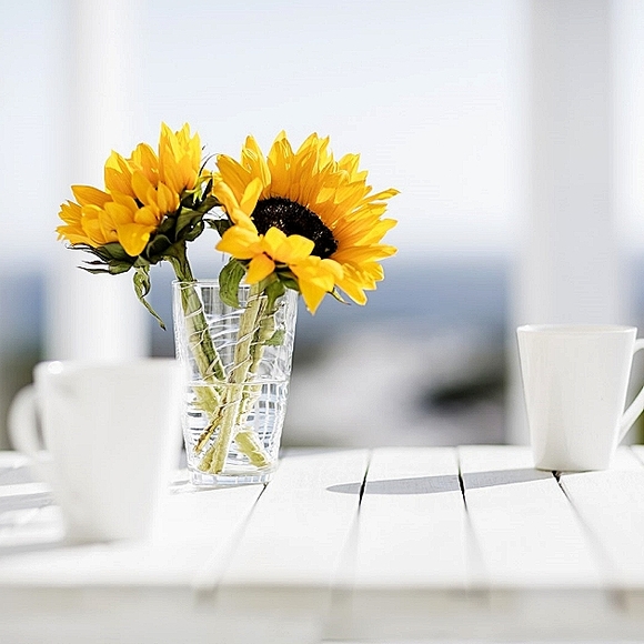 My closet is featuring summer holidays and FREE SHIPPING.  rfh70 - Picture 1 of 1